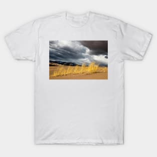 Great Sand Dunes T-Shirt